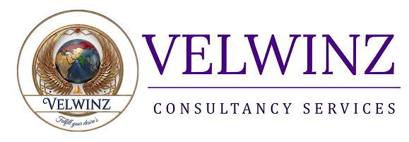 Velwinz Consultancy Services